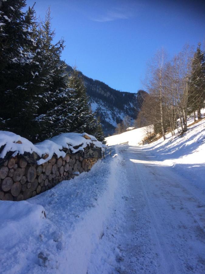 Appartement Knapp Wald im Pinzgau Zewnętrze zdjęcie